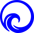 Icon primary